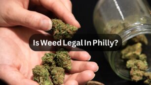 Is Weed Legal In Philly